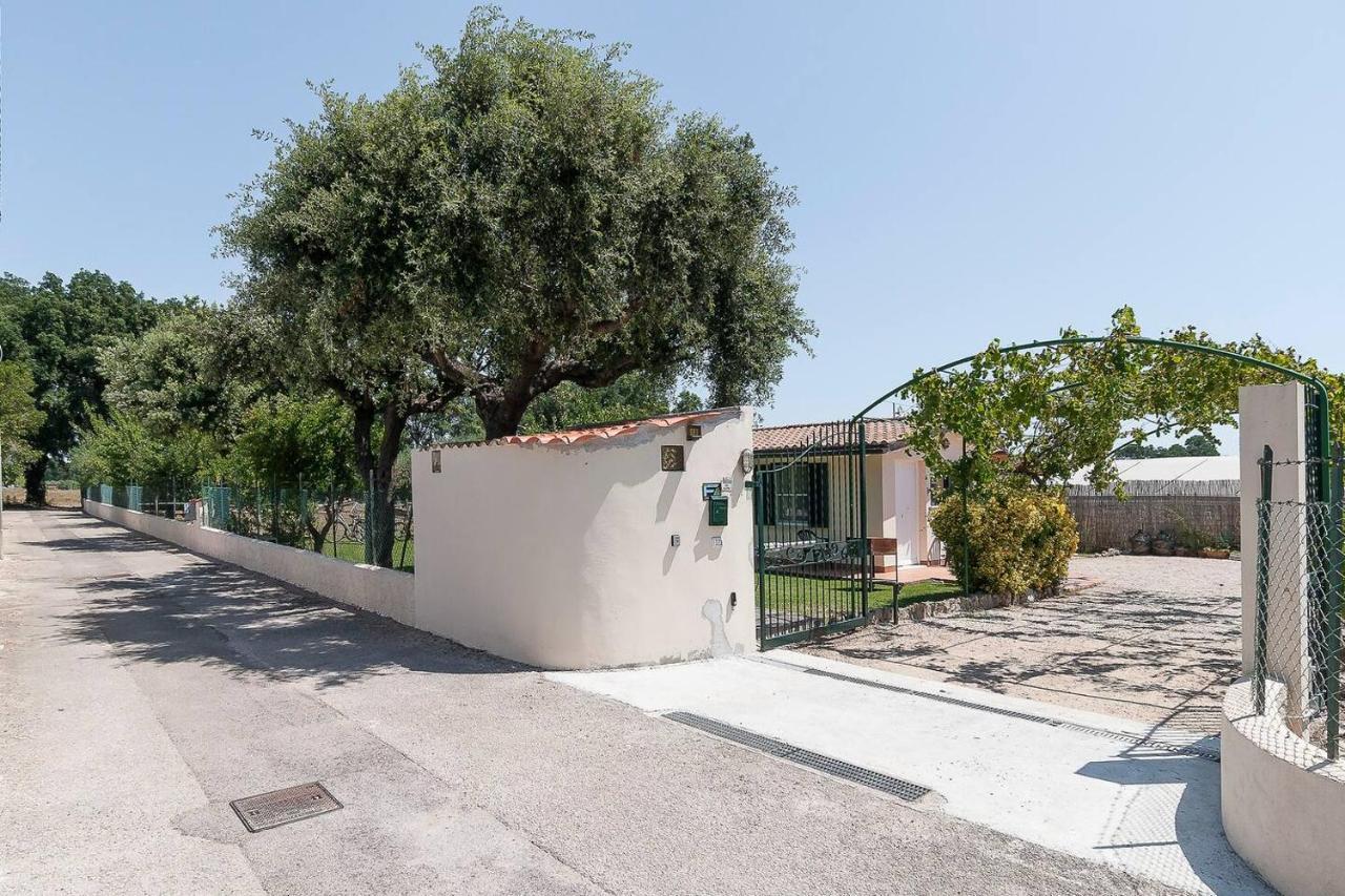 La Cesa Holiday House San Felice Circeo Exterior foto